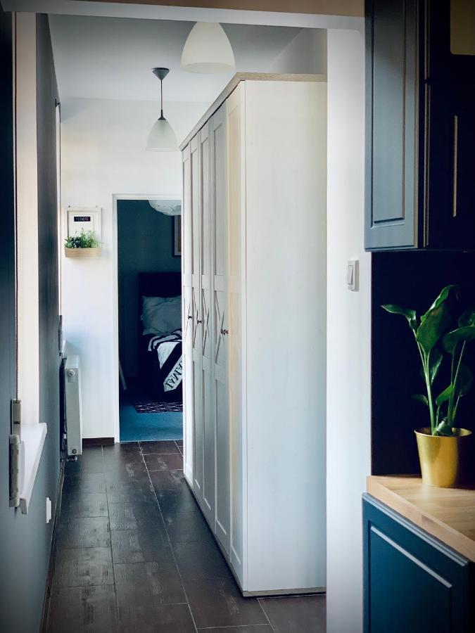Apartamenty Krasicki ليدزبارك فارنيتسكي المظهر الخارجي الصورة